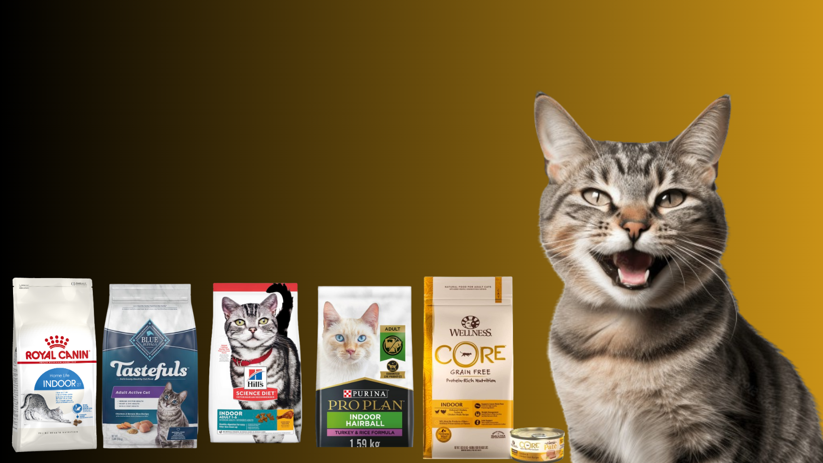 The Purr-fect Picks: Best Cat Food for Indoor Cats