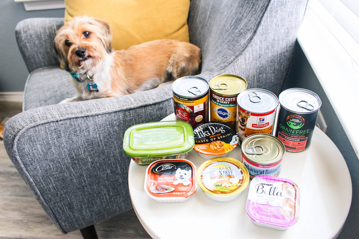 Canned Guide on How Much Canned Food to Feed a Dog