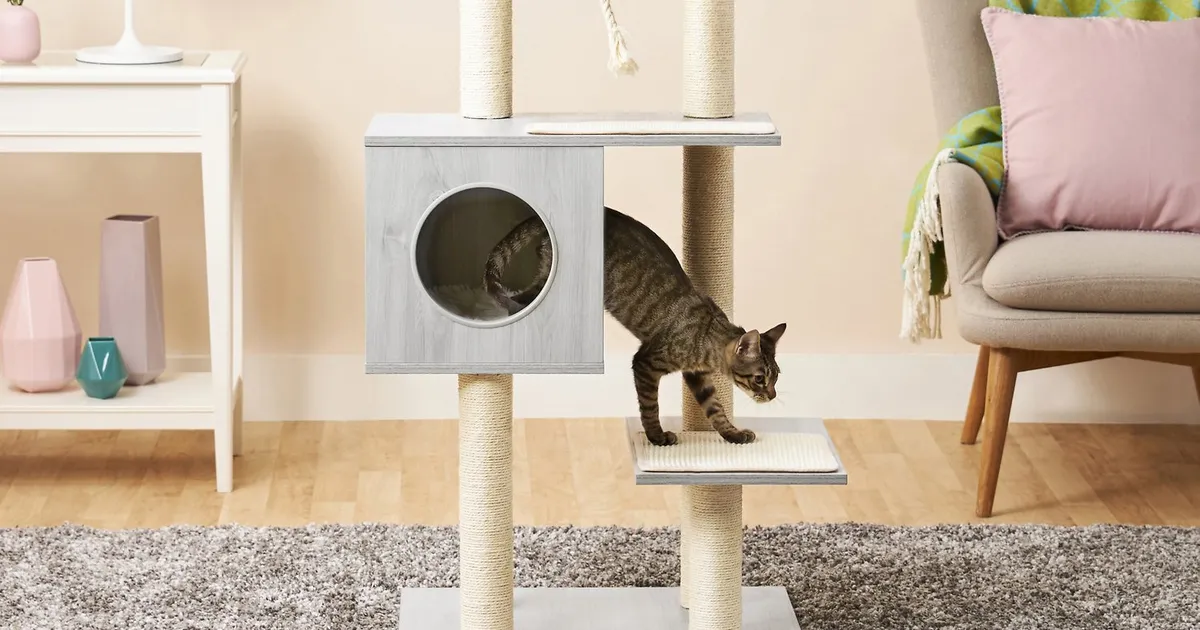 Choosing the Right Cat Condos for Your Feline Friend