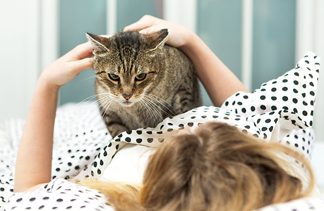 Cat’s Morning Affection: Why Cats Love You Most?