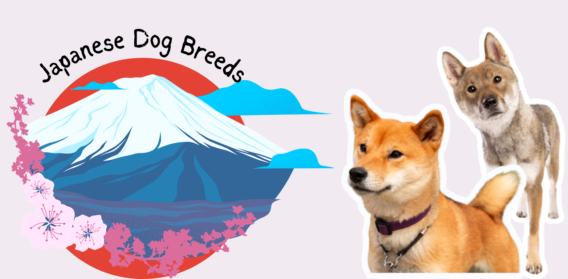 Discover 6 Japanese Dog Breeds: Unique Histories & Personalities